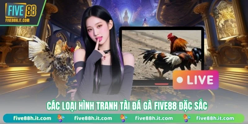 Các loại hình tranh tài đá gà FIVE88 đặc sắc