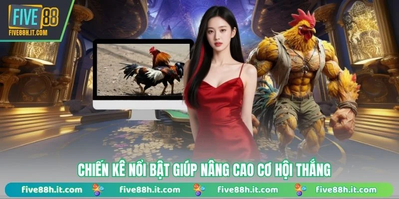 Chiến kê nổi bật giúp nâng cao cơ hội thắng