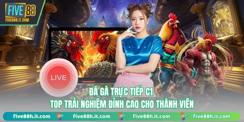 Đá gà trực tiếp c1 ảnh đại diện