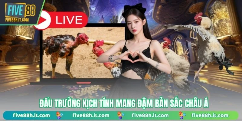 Đấu trường kịch tính mang đậm bản sắc châu Á