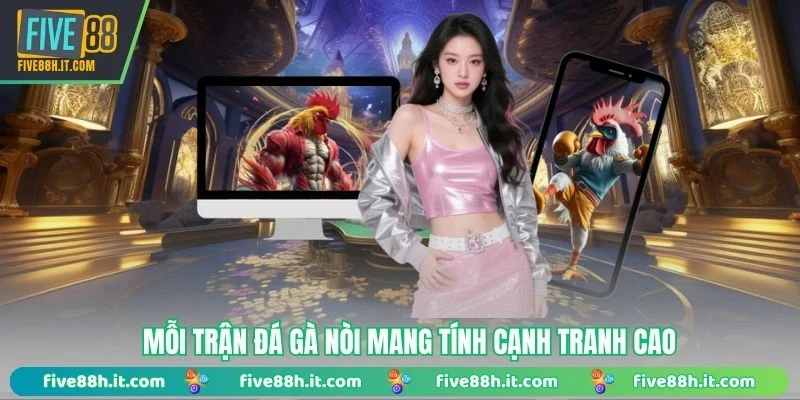 Mỗi trận đá gà nòi mang tính cạnh tranh cao