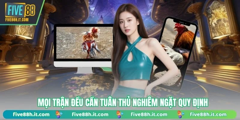 Mọi trận đều cần tuân thủ nghiêm ngặt quy định