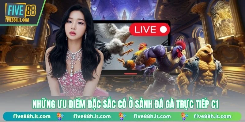 Những ưu điểm đặc sắc có ở sảnh đá gà trực tiếp C1